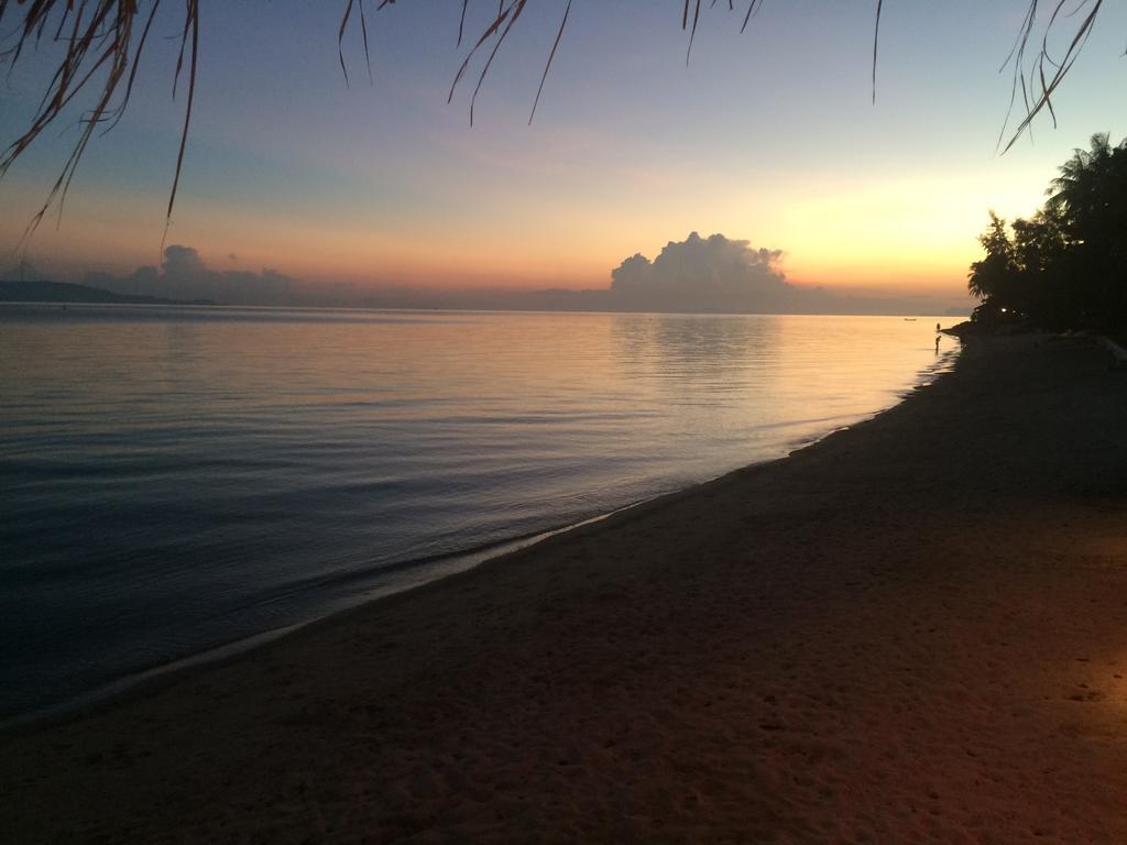The Blue Parrot Hotel Ko Pha Ngan Bagian luar foto